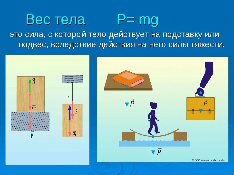 Вес. Вес тела. Сила веса тела. Вес тела на подвесе. Вес тела тела на которые действует сила.