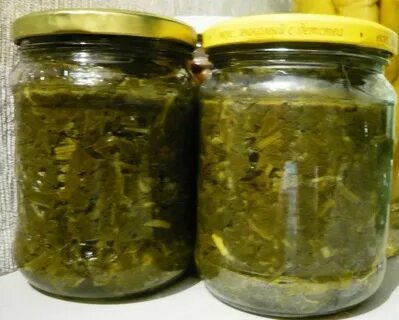 Щавель закатать в банки на зиму как