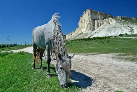 Скала лошадь