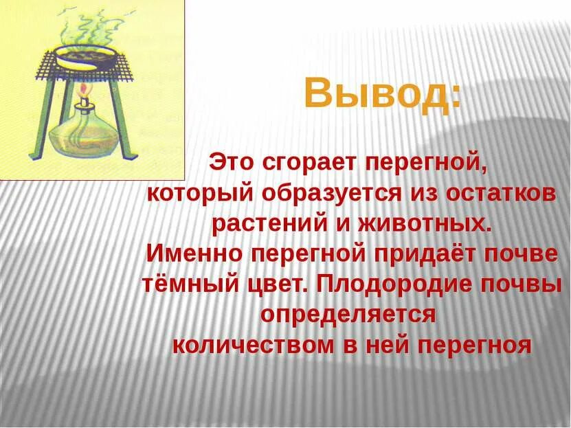 Перегной образуется из. Опыт перегной в почве. из чего в почве образуется перегной. перегной это 3 класс окружающий мир. опыт сколько перегноя в почве.