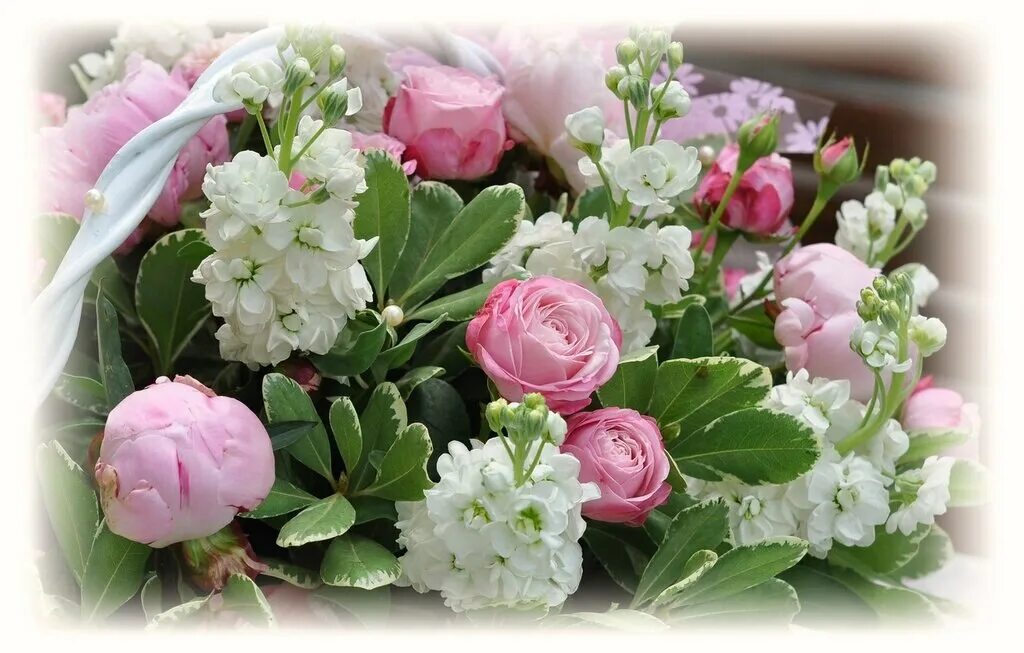 Доброго дня и прекрасного настроения цветы. Добрые пожелания. Прекрасные пожелания. Хорошего настроения и удачного дня цветы. Цветы весенние с добрыми пожеланиями.