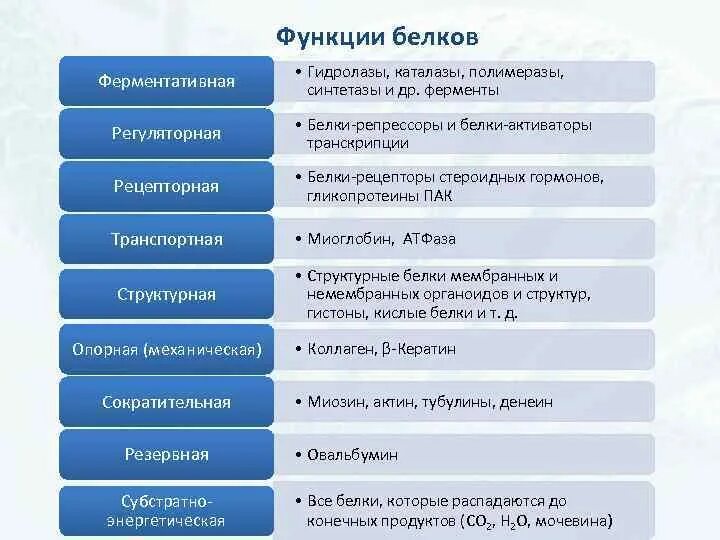 Список функций белков. Белки репрессоры функции. Строительная функция белков. Строительная Регуляторная и энергетическая функция белков. Энергетическая функция белка.