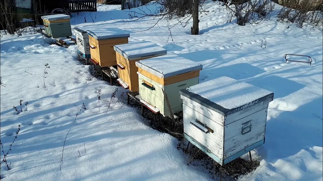 Зимовка пчел. Улья под снегом. Зимние ульи. Зимовка пчел. Зимовка пчел.