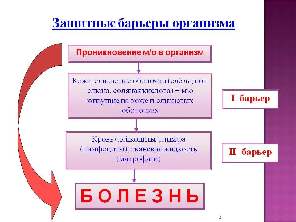 Слюна соляная кислота. Защитные барьеры организма. Защитные барьеры организма 8. Зпщитные барьера в аргпнизме имуннитеты. Борьба организма с инфекцией иммунитет.