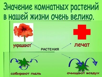 Цветами начальная форма