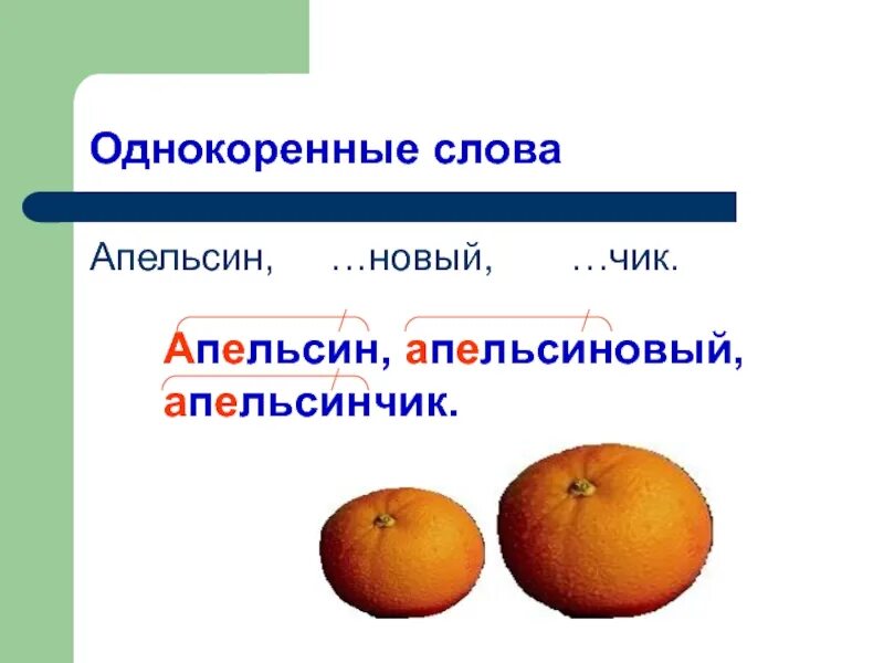 Однокоренные слова апельсин. Однокоренные слова апельсиновый апельсин апельсинчик. Апельсинов проверочное слово. Апельсин родственные слова. Апельсин новые слова