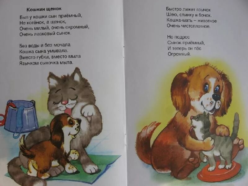 Детская песня собака кошка. Песня про собаку ноты. Презентация кошки для дошкольников. Детская песня собака кошка. Кошечки собачки кораблик.