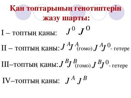 Марисса мен Пабло арасындағы жыныстық қатынас және сүйіспеншілік туралы фанфик
