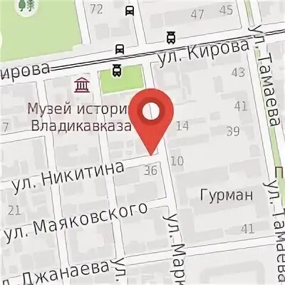 Хамелеон владикавказ