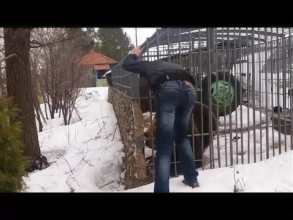 Оно тебя сожрет. Не трогай ее она тебя сожрет. Не лезь оно тебя сожрет. Не лезь оно тебя сожрет. Не лезь дебил она тебя сожрет.