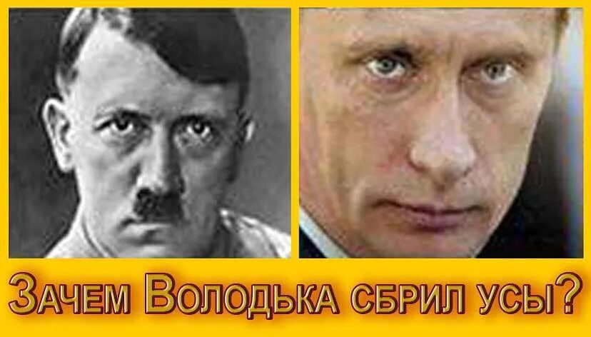 Дверь мне открыл володька. Зачем Володька сбрил усы. Почему Володька сбрил усы картинки. Ты зачем усы сбрил дурик.