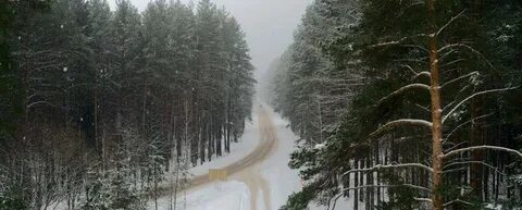 Горки брянская область