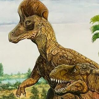 As we walked around the prehistoric