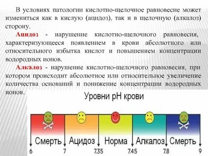 Уровень кислотности организма