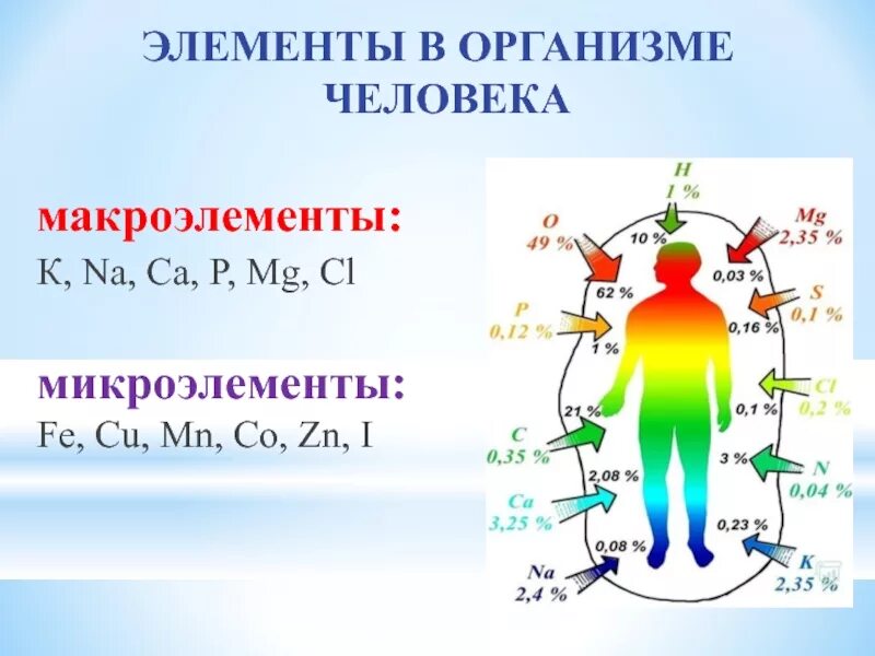 Роли элементов в организме. Элементы в организме. минеральный обмен в организме человека. химические элементы в организме. микроэлементы в организме человека.