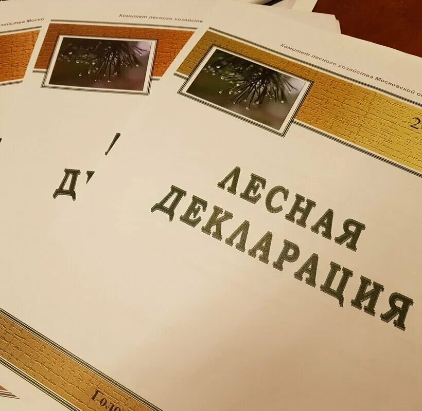 Прием лесных деклараций