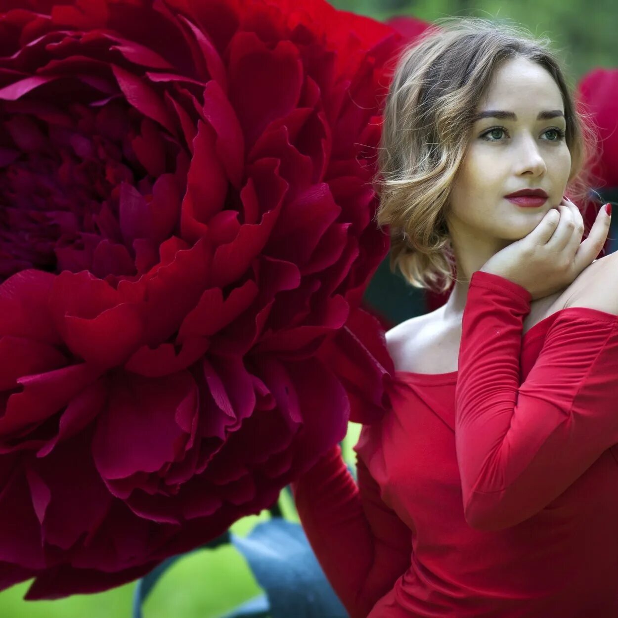 Большие цветы для декора. Гигантские цветы. Гигантские цветы. Цветы для интерьера гигантские. Хризантема фуджи сноу.