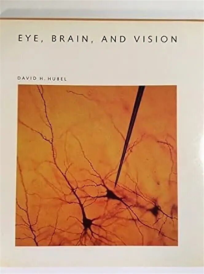 Brain eyes. Дэвид хьюбел. Глаз мозг зрение. Хьюбел глаз мозг зрение книга.