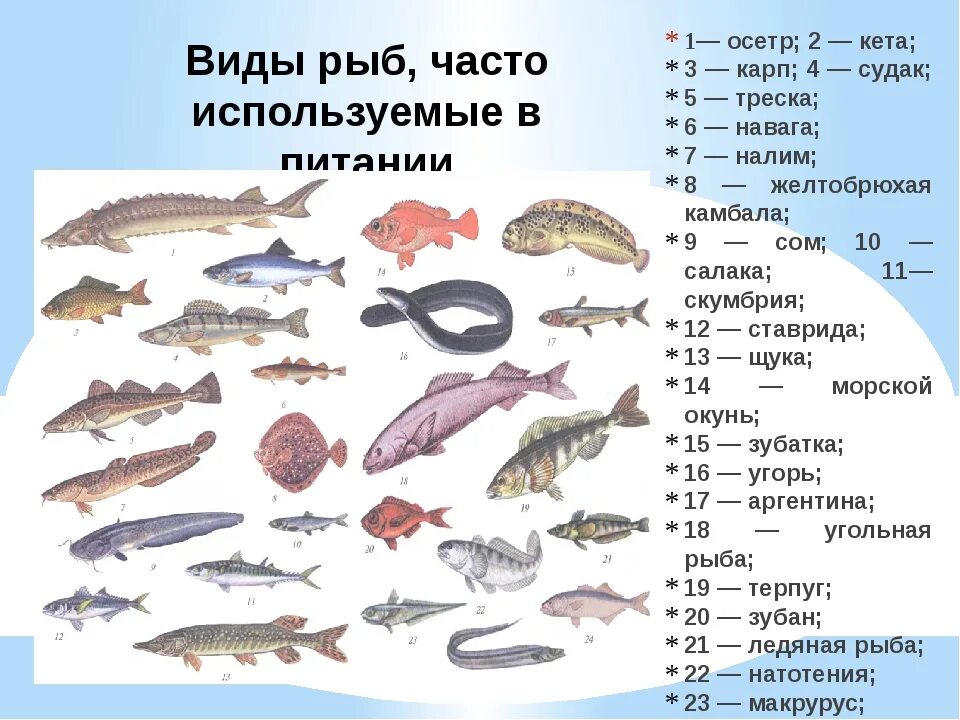 Мелкая рыба список