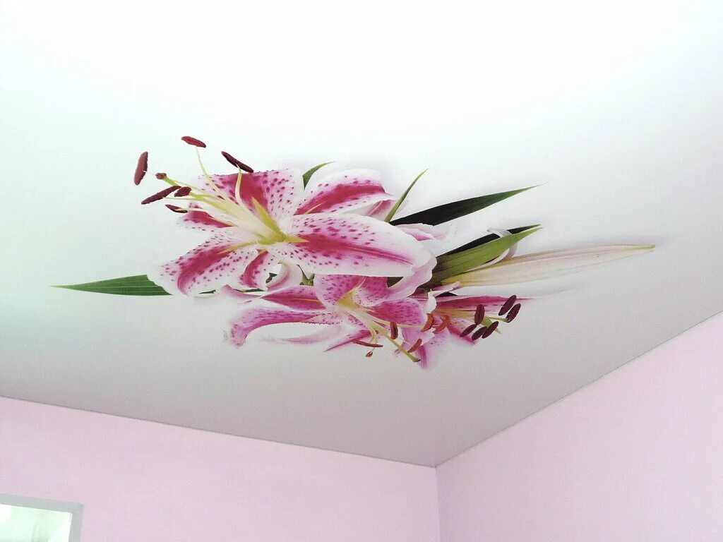 шутерсток потолки каталог. шутерсток потолки каталог. шутерсток потолки каталог. фотопечать на натяжных потолках узоры. натяжные потолки с фотопечатью.