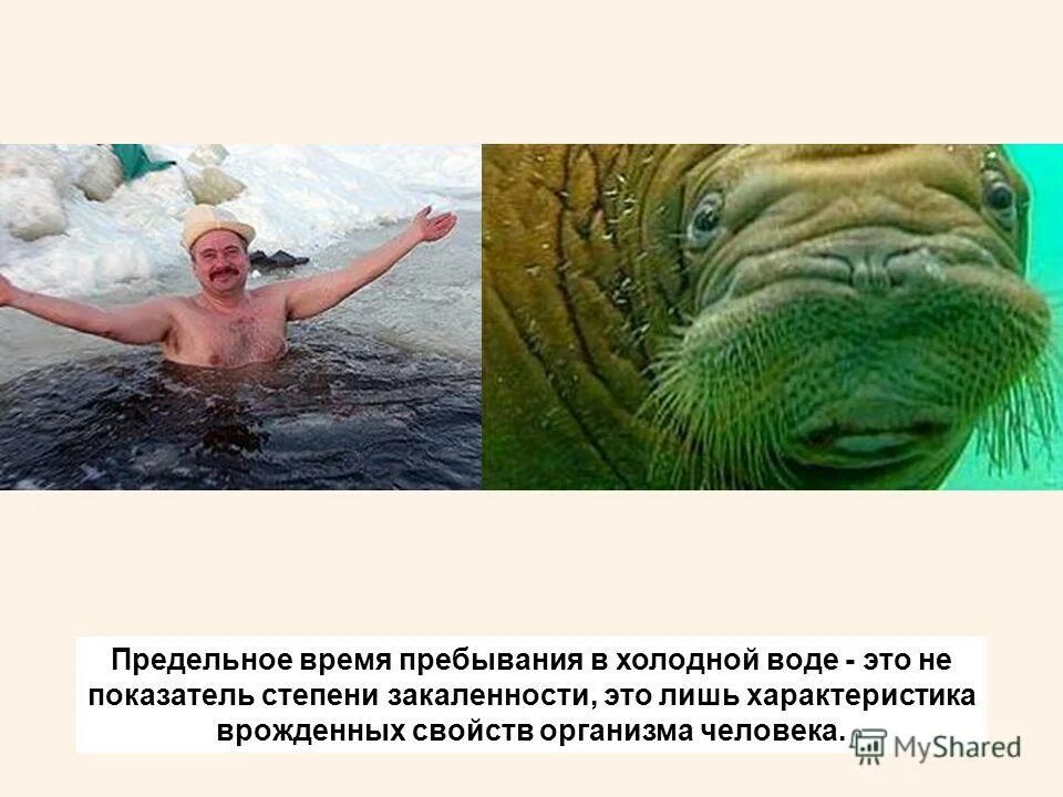 Закаливание зимой. Моржевание в проруби. Закаливание водой. Моржевание в проруби. Гидрокостюм для ледяной воды арктика.