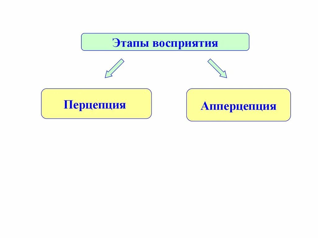 Этапы восприятия перцепция и апперцепция. Этапы восприятия в психологии. Апперцепция это в психологии. Апперцепция восприятия это в психологии. Этапы восприятия информации