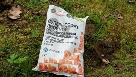Суперфосфат в теплице
