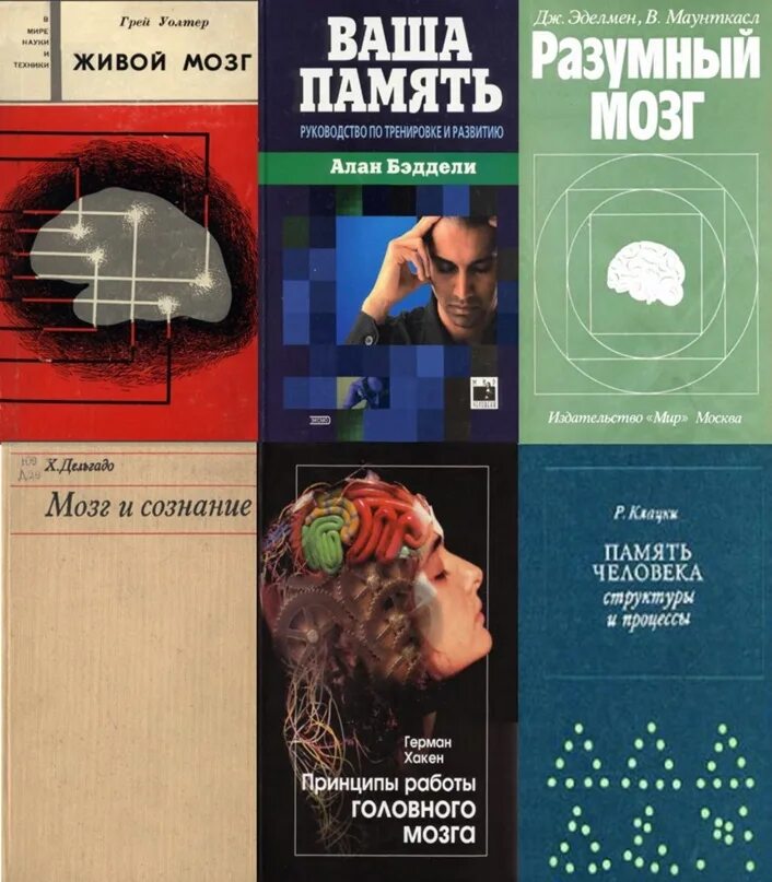 Удивительный мозг. Мозг разумного. Огромный искусственный мозг. Мозг австралопитека и человека. Мозг разумного.