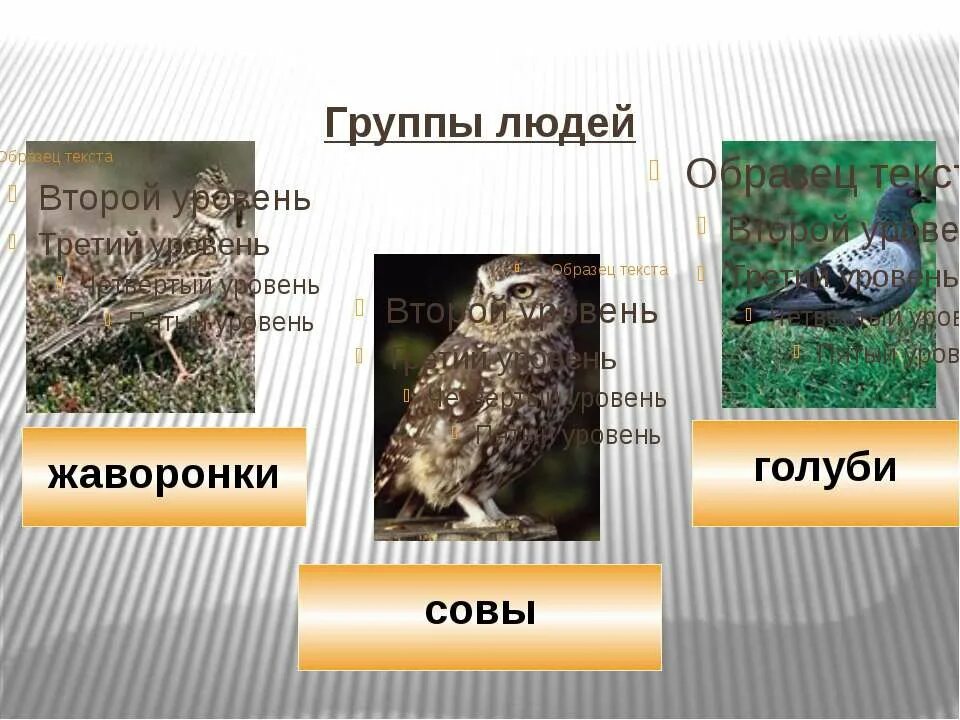 Биоритмы Сова Жаворонок голубь. Хронотипы Сова Жаворонок голубь. Биоритмы Жаворонки Совы и голуби. Люди Жаворонки и Совы и голуби.