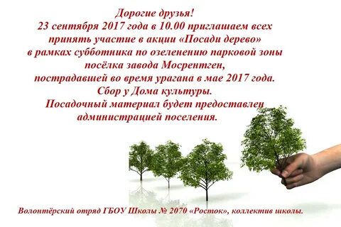 Цель посадить дерево