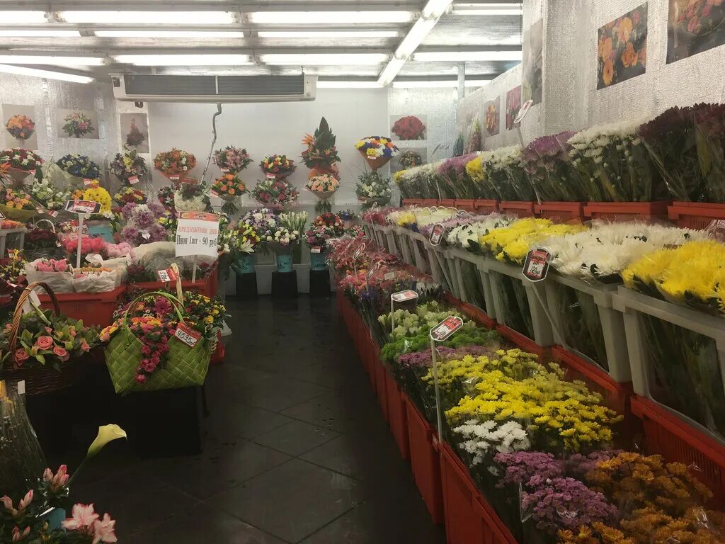 Тц еврофлор москва перово. Магазин еврофлора на перовской. Еврофлор перовская 65. Москва цветы перово. Еврофлор перово.