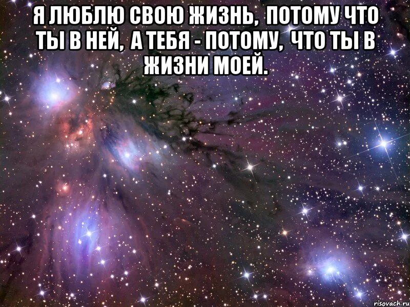 Потому что люблю другую. Я люблю жизнь. я люблю тебя, жизнь. я люблю свою жизнь. я люблю жизнь потому что.