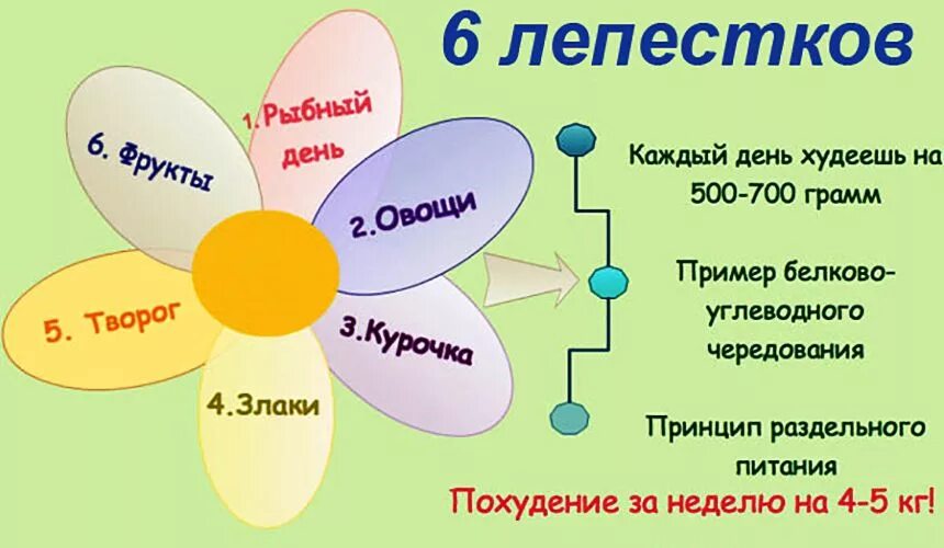 6 лепестков отзывы и результаты. Диета лепесток 6 дней меню на каждый день. Диета лепестки 6 лепестков меню. Меню 6 лепестков меню на каждый день. Диета 5 лепестков меню на каждый день.