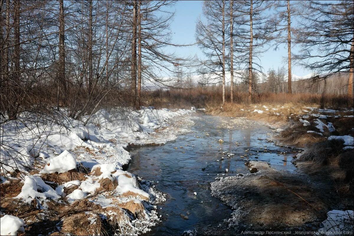 Снег состоянии воды. Илистый ручей. Мутный ручей. Тает снег бегут ручьи. Снега сбежали мутными ручьями на потопленные Луга.