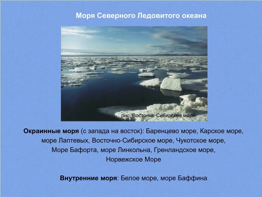 Проект про море Лаптевых. Сообщение о белом море. Описание белого моря. Карское море факты. Внутренние моря ледовитого океана