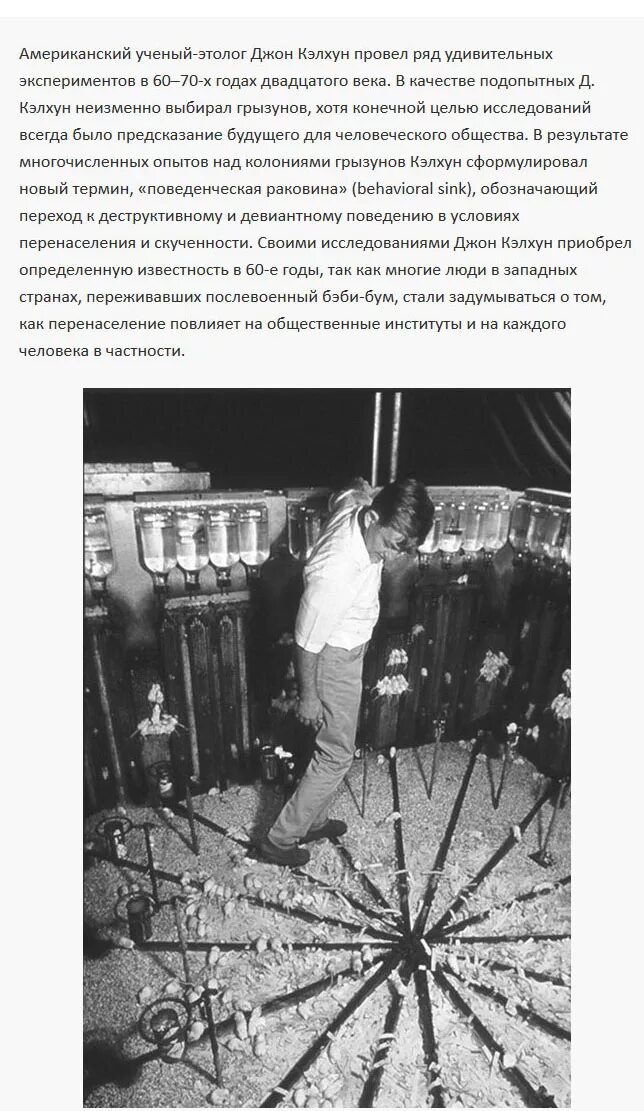 Эксперимент под названием. Вселенная-25 эксперимент американского ученого джона кэлхуна. джон кэлхун эксперимент. вселенная 25 эксперимент мышиный рай. джон кэлхун вселенная 25.