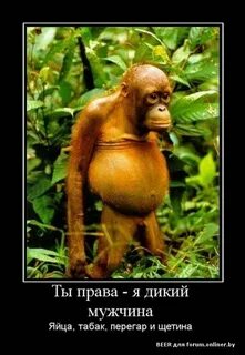 Да мальчик я