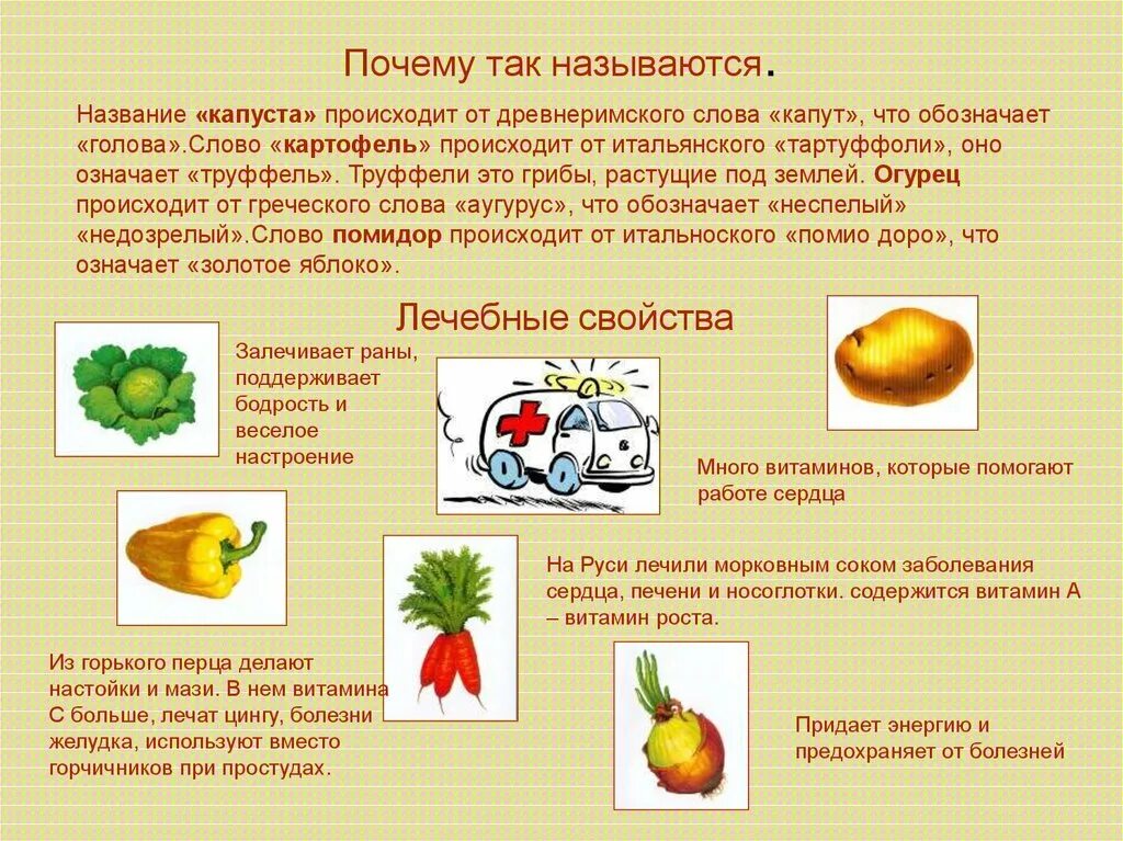 Текст овощей составить. Презентация на тему овощи. Овощи для презентации. Презентация овощи для дошкольников. История овощей.