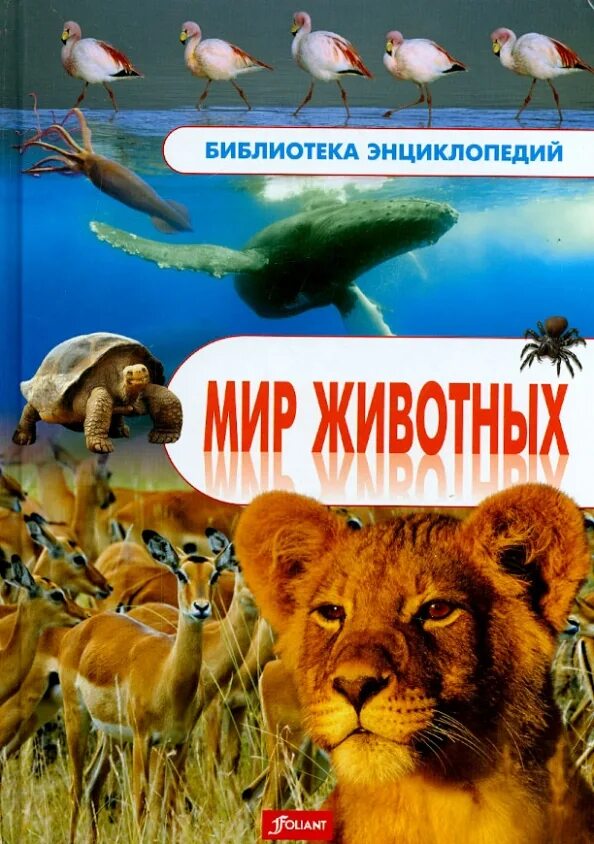 Животные и их мир книга. Энциклопедия мир животных. энциклопедия про мир для детей. энциклопедия животных 2014. детская энциклопедия: животные и растения.