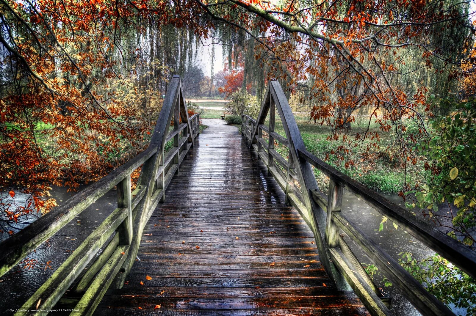 Осень мост. Парк с мостом. Красивые мостики. Мостик в осеннем лесу.