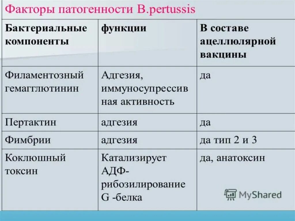 Коклюш повторно можно заболеть. Факторы патогенности b.pertussis. факторы патогенности бордетелл коклюша. bordetella pertussis факторы патогенности.