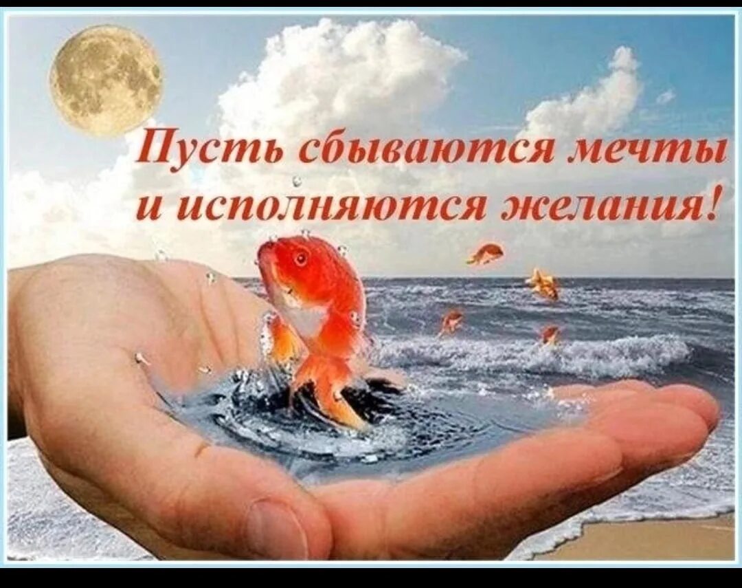 Чтоб исполнялись мечты. Чтоб исполнялись мечты
