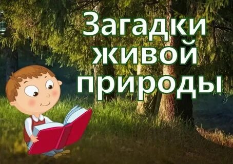 Тайны живой природы