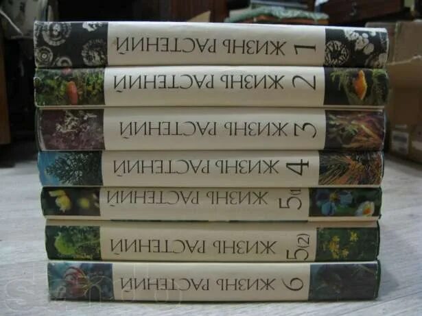 Жизнь растений том 3. Жизнь растений в 6 томах. Энциклопедия жизнь растений 6 томов. Жизнь растений Тахтаджян. Жизнь растений в 6 томах (1974-1982.
