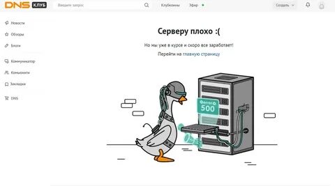 Днс клуб платит за отзывы