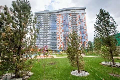 Оазис московская область