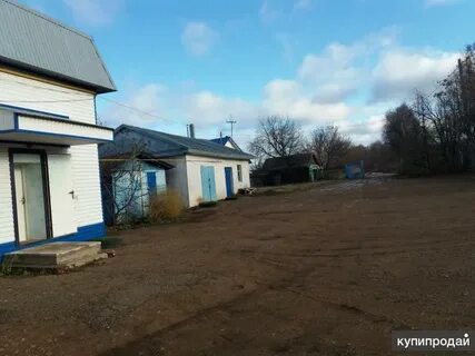 Объявления г бирск