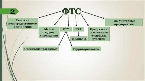 Находится в непосредственном подчинении