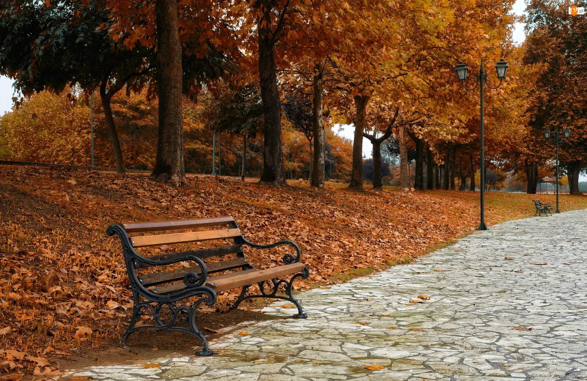 Осень без людей. Парк со скамейками Ставрополь. Осенний парк. Осенний парк фото. Осень в городе.
