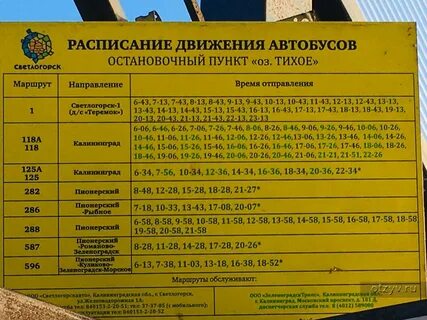587 автобус расписание янтарный